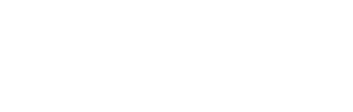 Nozomi Networks Logo